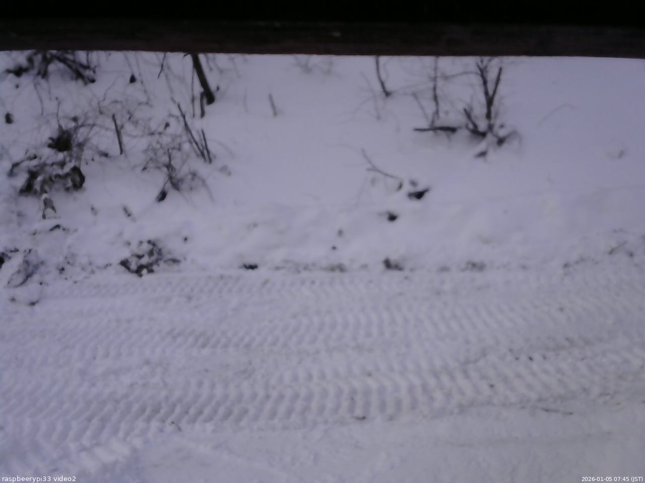 長野県菅平高原 ゆたか山荘 南側 2026/01/05 07:45