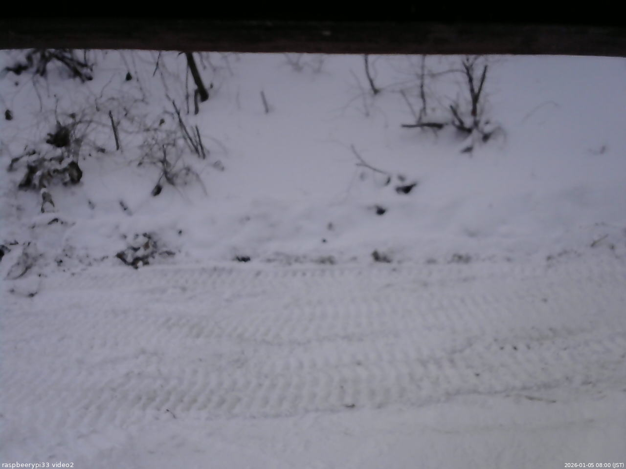 長野県菅平高原 ゆたか山荘 南側 2026/01/05 08:00