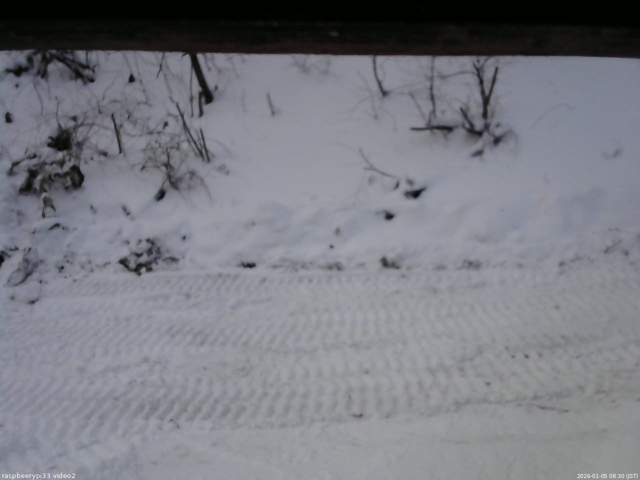長野県菅平高原 ゆたか山荘 南側 2026/01/05 08:30