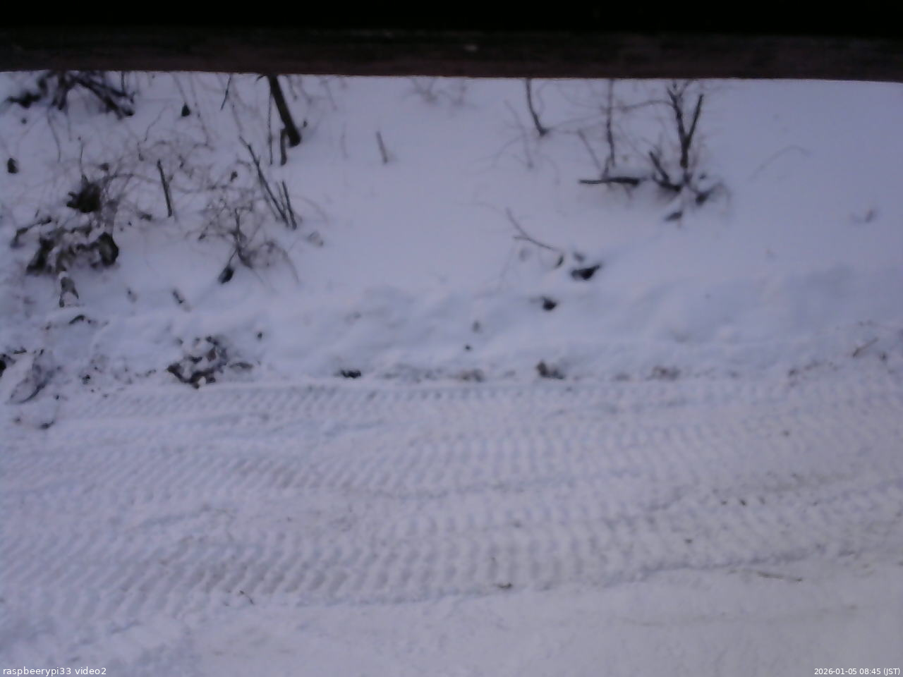 長野県菅平高原 ゆたか山荘 南側 2026/01/05 08:45