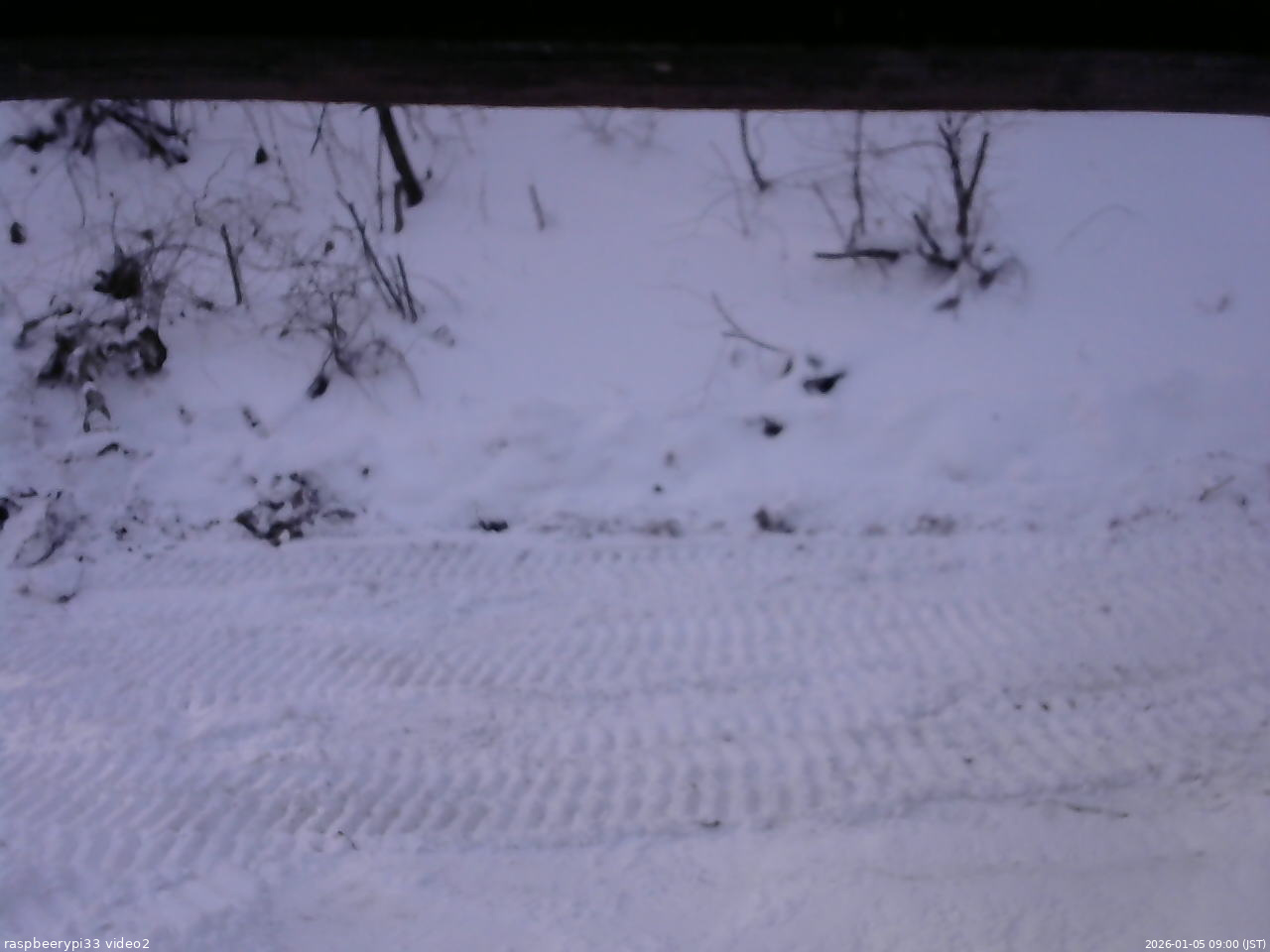 長野県菅平高原 ゆたか山荘 南側 2026/01/05 09:00