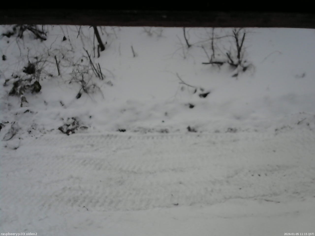 長野県菅平高原 ゆたか山荘 南側 2026/01/05 11:15
