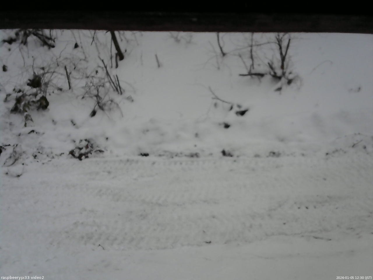 長野県菅平高原 ゆたか山荘 南側 2026/01/05 12:30