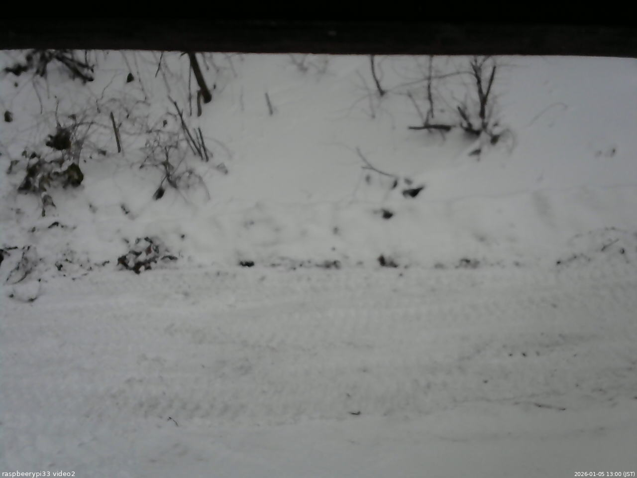 長野県菅平高原 ゆたか山荘 南側 2026/01/05 13:00