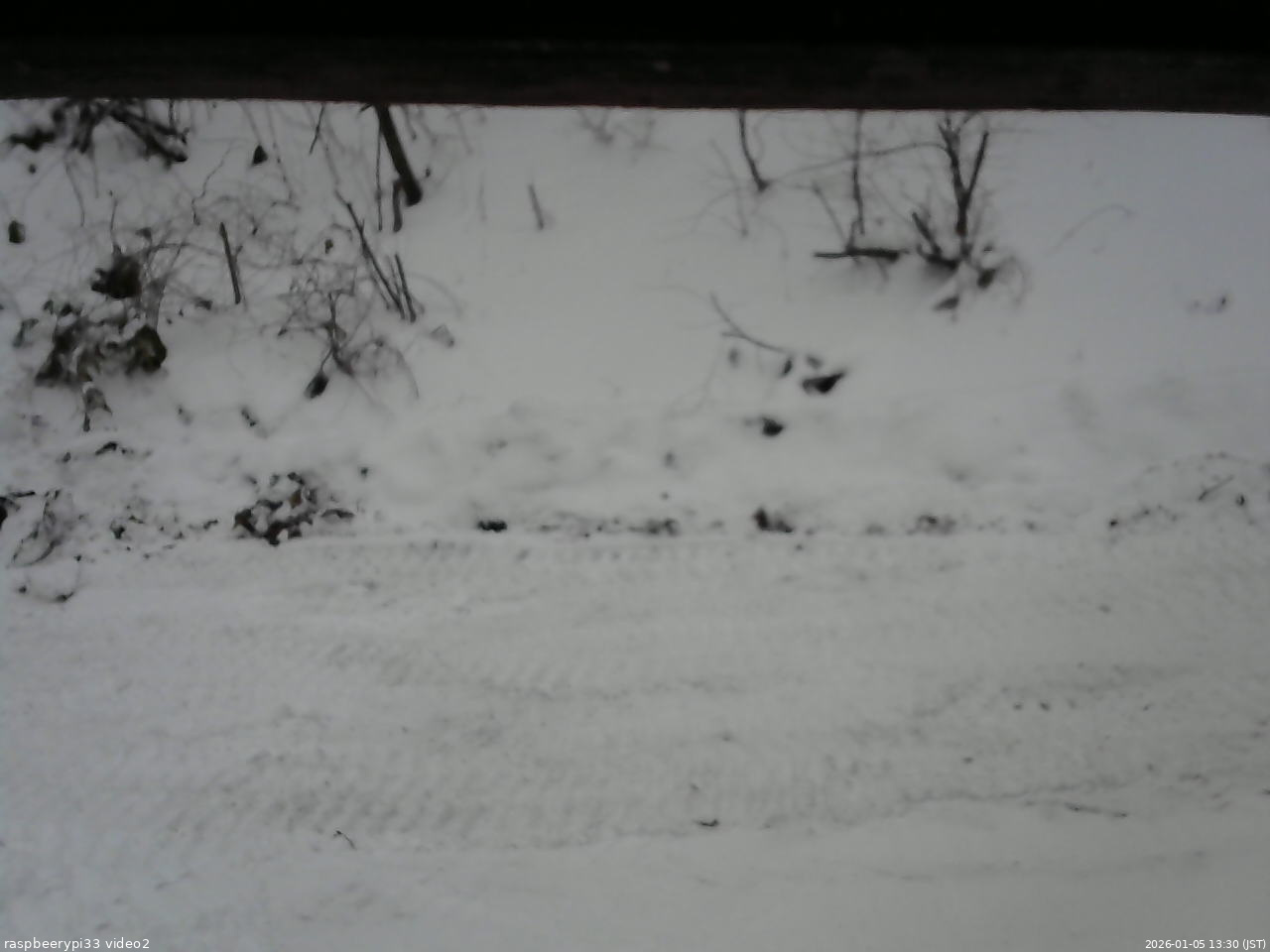 長野県菅平高原 ゆたか山荘 南側 2026/01/05 13:30