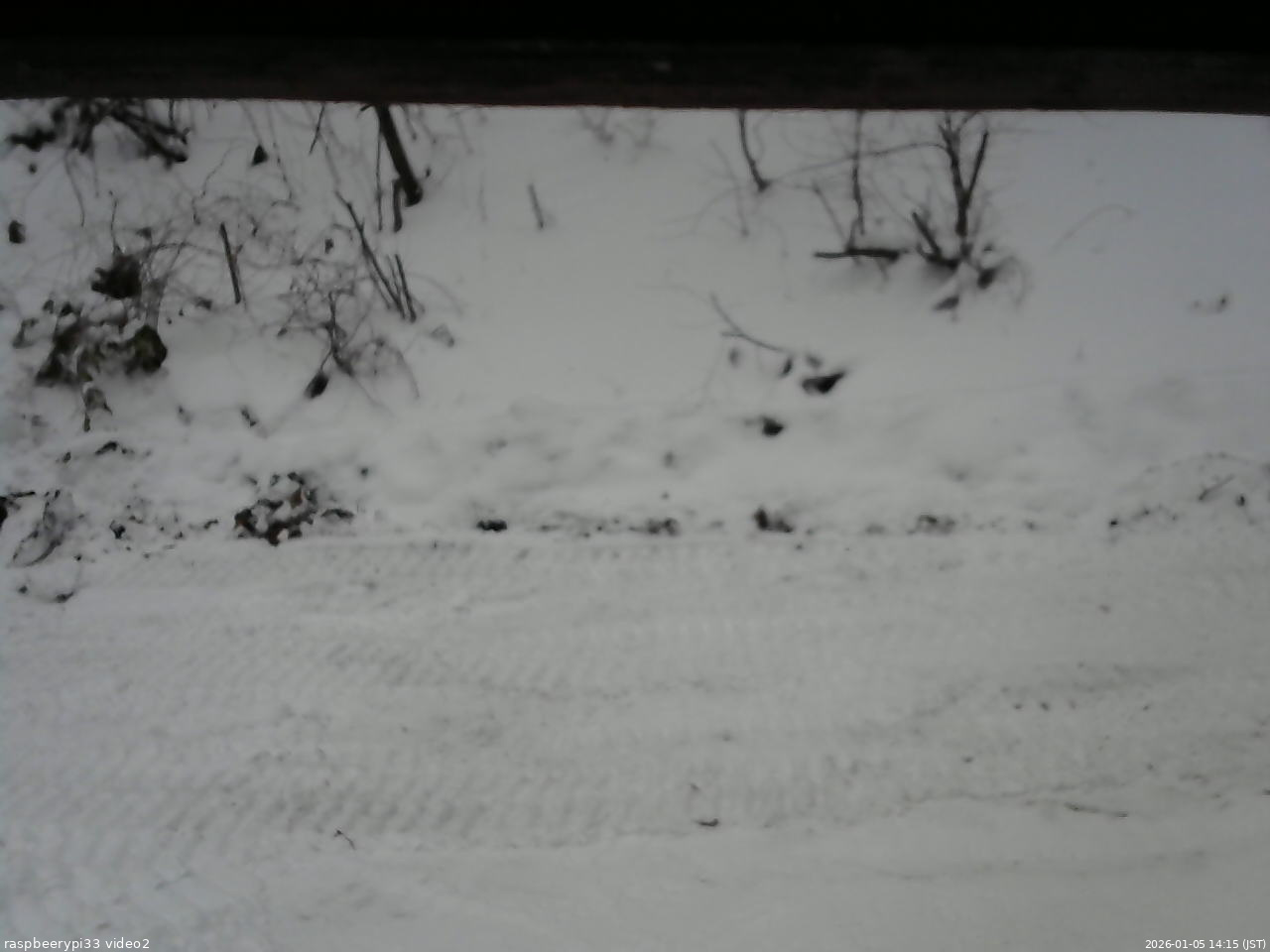 長野県菅平高原 ゆたか山荘 南側 2026/01/05 14:15