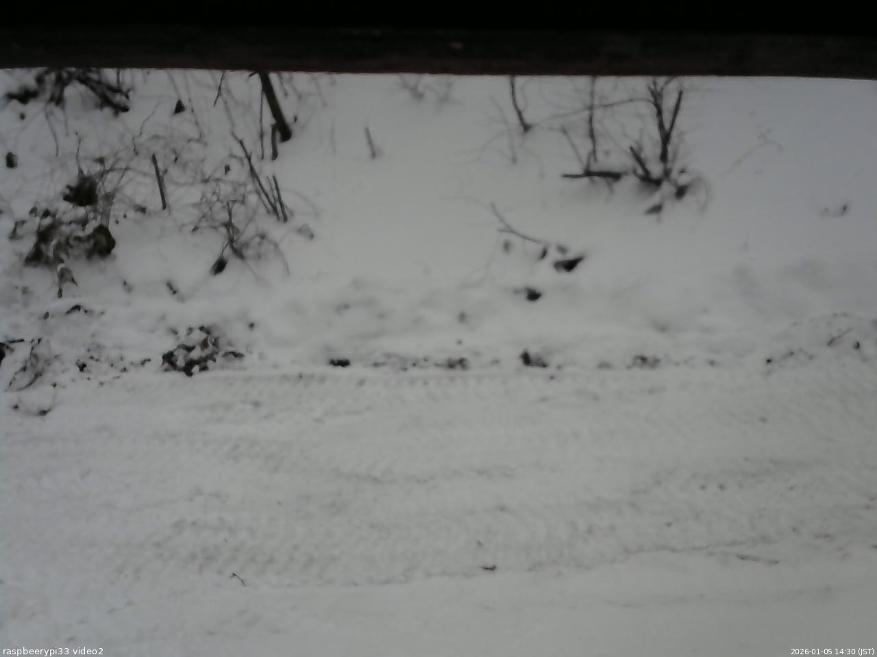 長野県菅平高原 ゆたか山荘 南側 2026/01/05 14:30