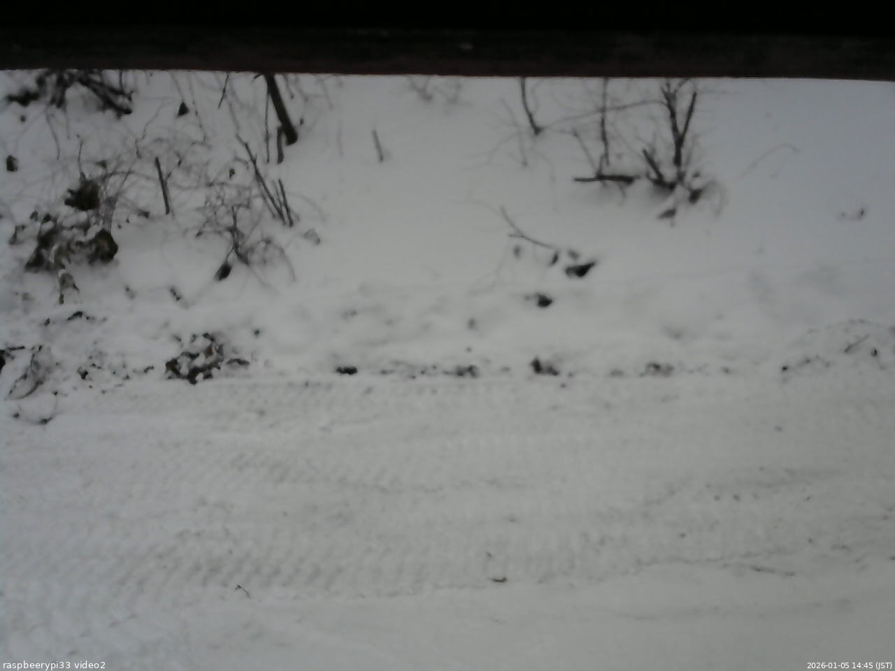 長野県菅平高原 ゆたか山荘 南側 2026/01/05 14:45