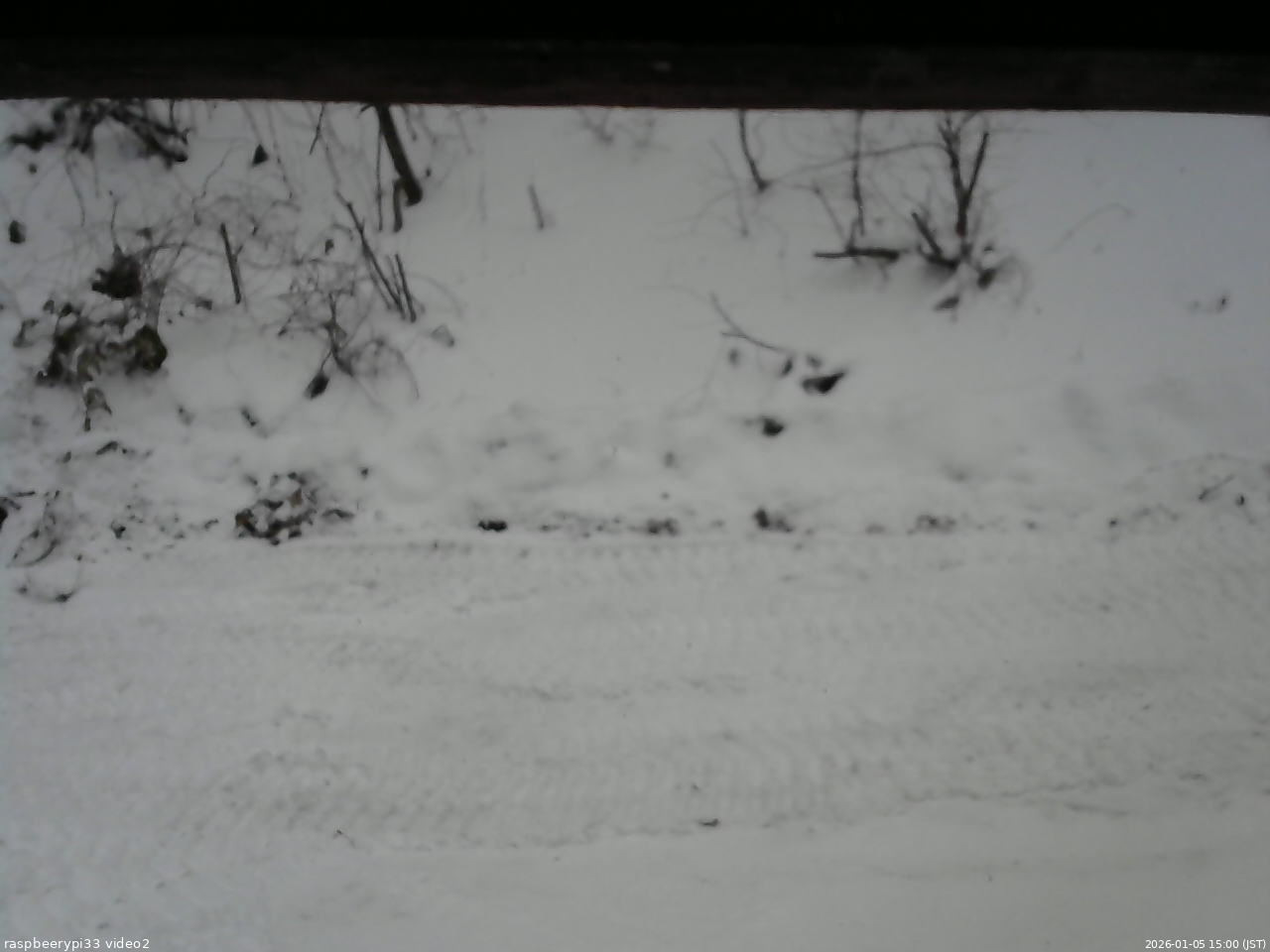 長野県菅平高原 ゆたか山荘 南側 2026/01/05 15:00