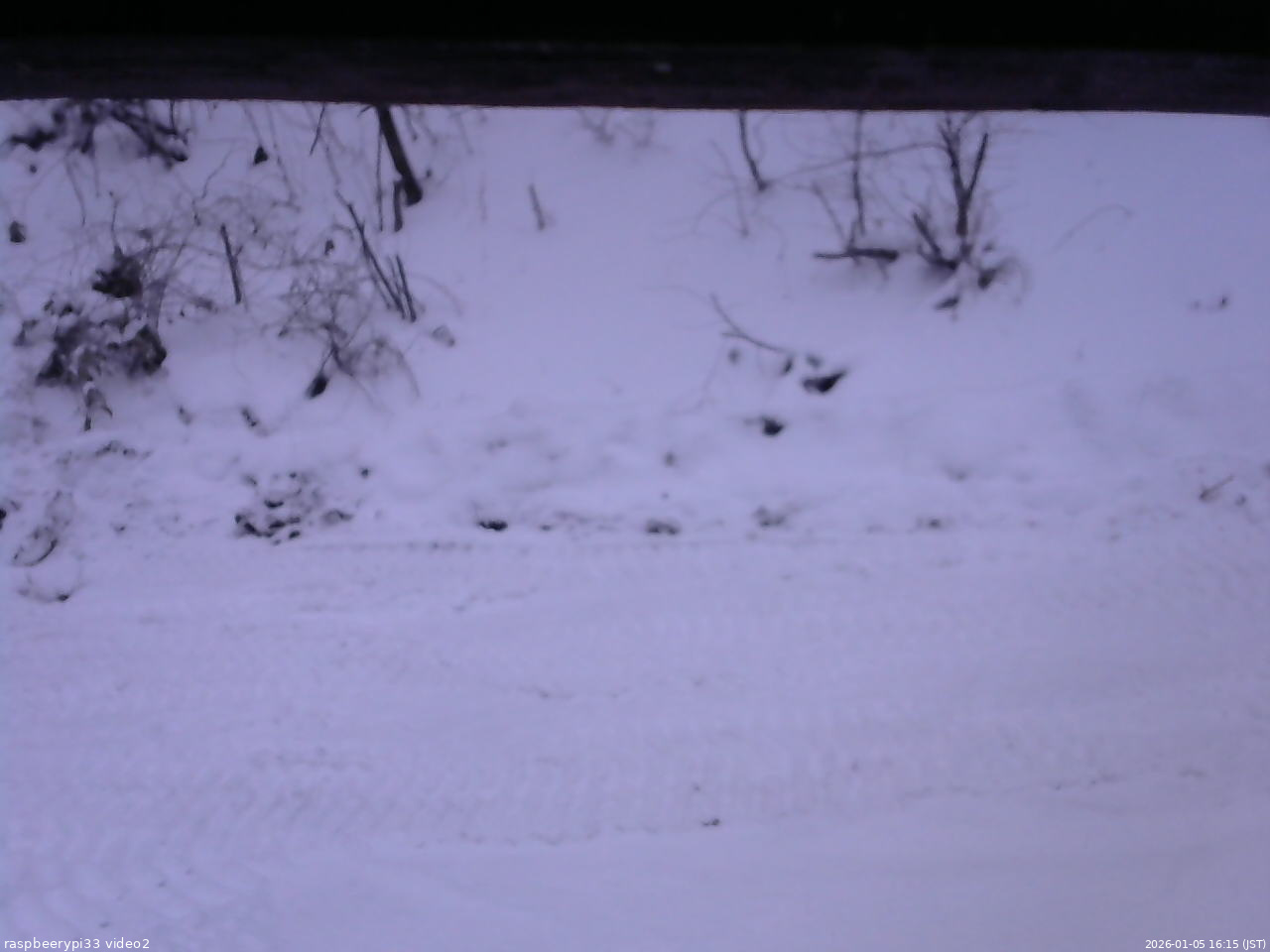 長野県菅平高原 ゆたか山荘 南側 2026/01/05 16:15