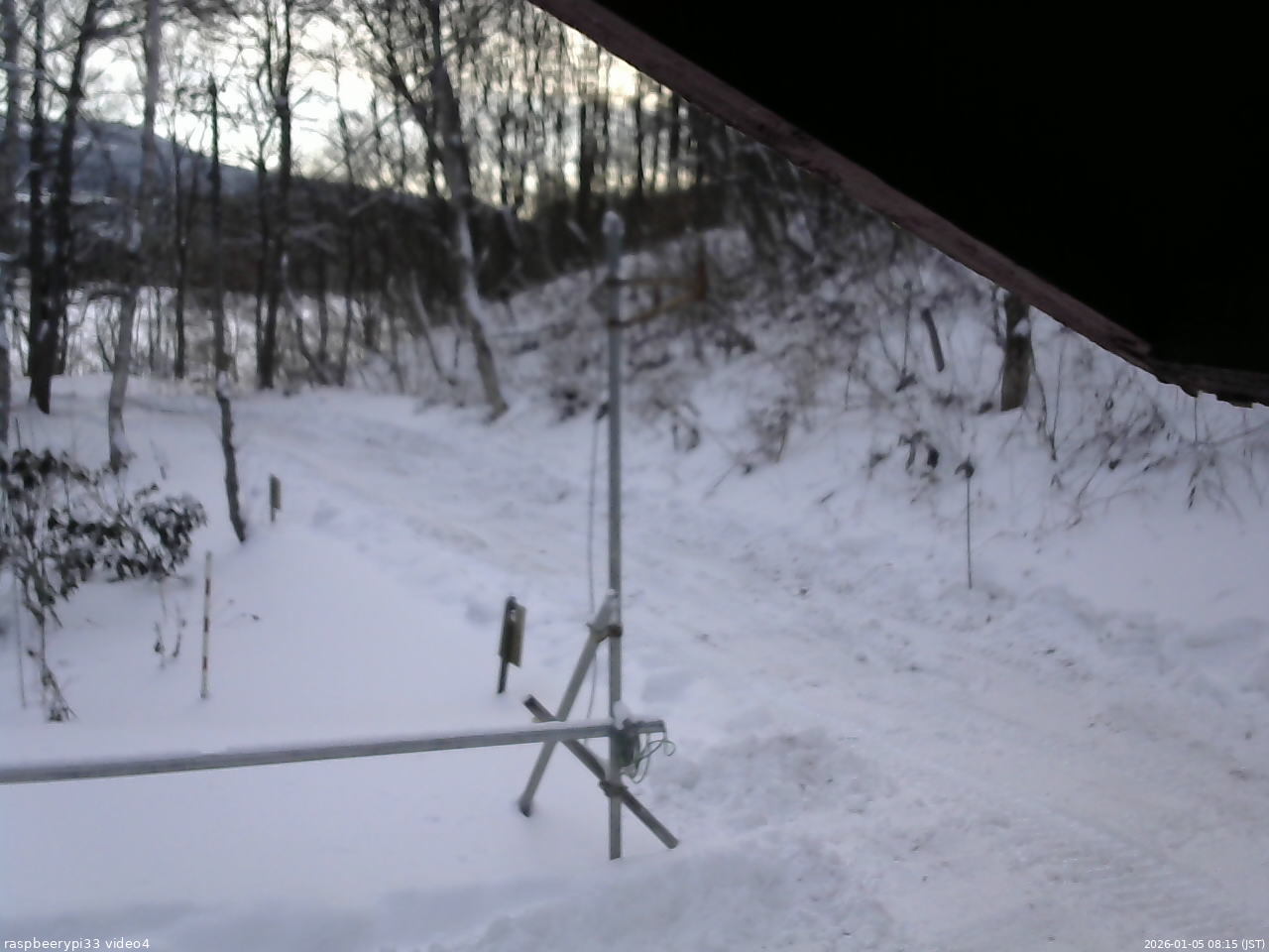 長野県菅平高原 ゆたか山荘 東側(坂下) 2026/01/05 08:15