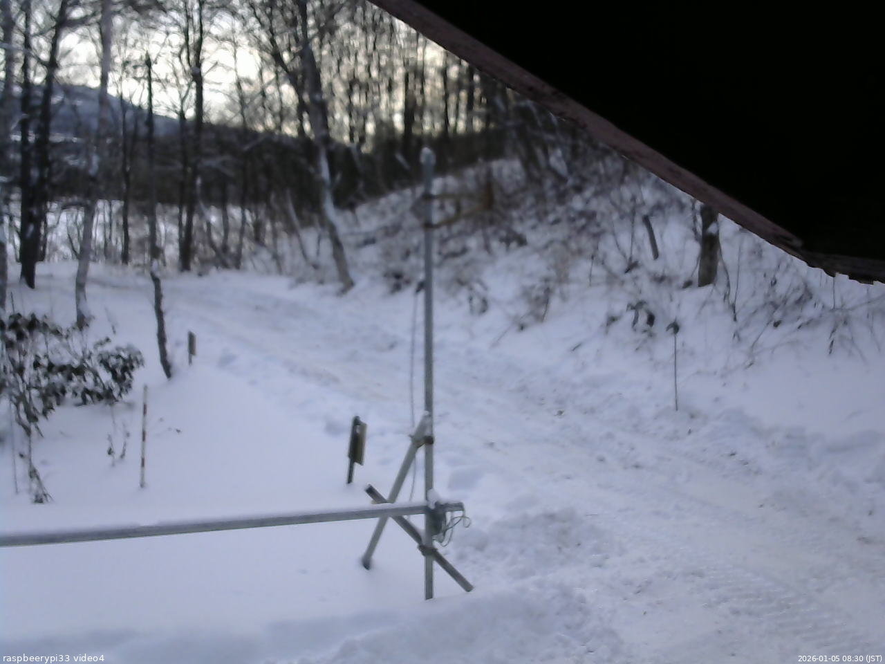長野県菅平高原 ゆたか山荘 東側(坂下) 2026/01/05 08:30