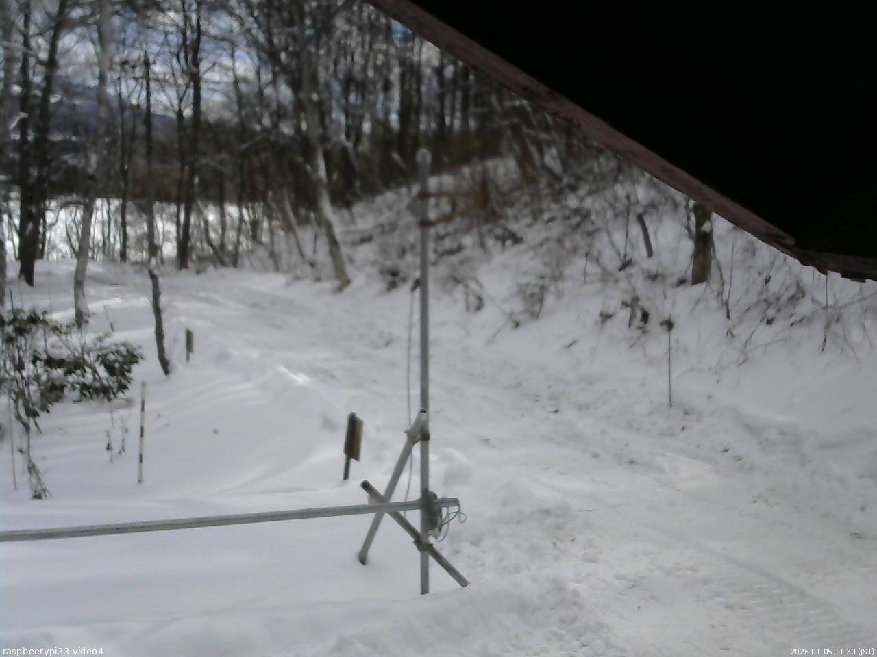 長野県菅平高原 ゆたか山荘 東側(坂下) 2026/01/05 11:30
