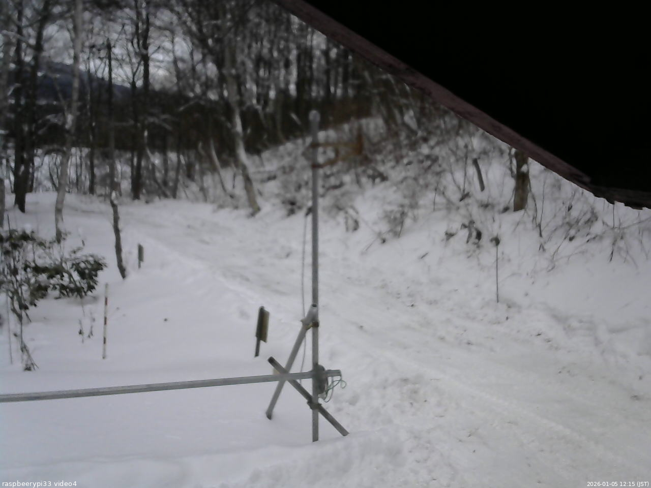 長野県菅平高原 ゆたか山荘 東側(坂下) 2026/01/05 12:15