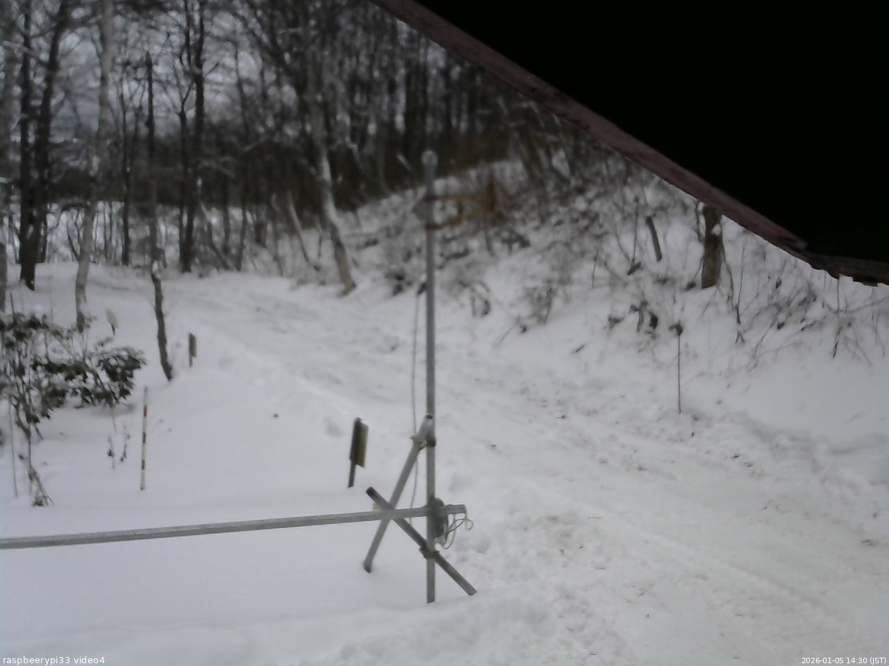 長野県菅平高原 ゆたか山荘 東側(坂下) 2026/01/05 14:30