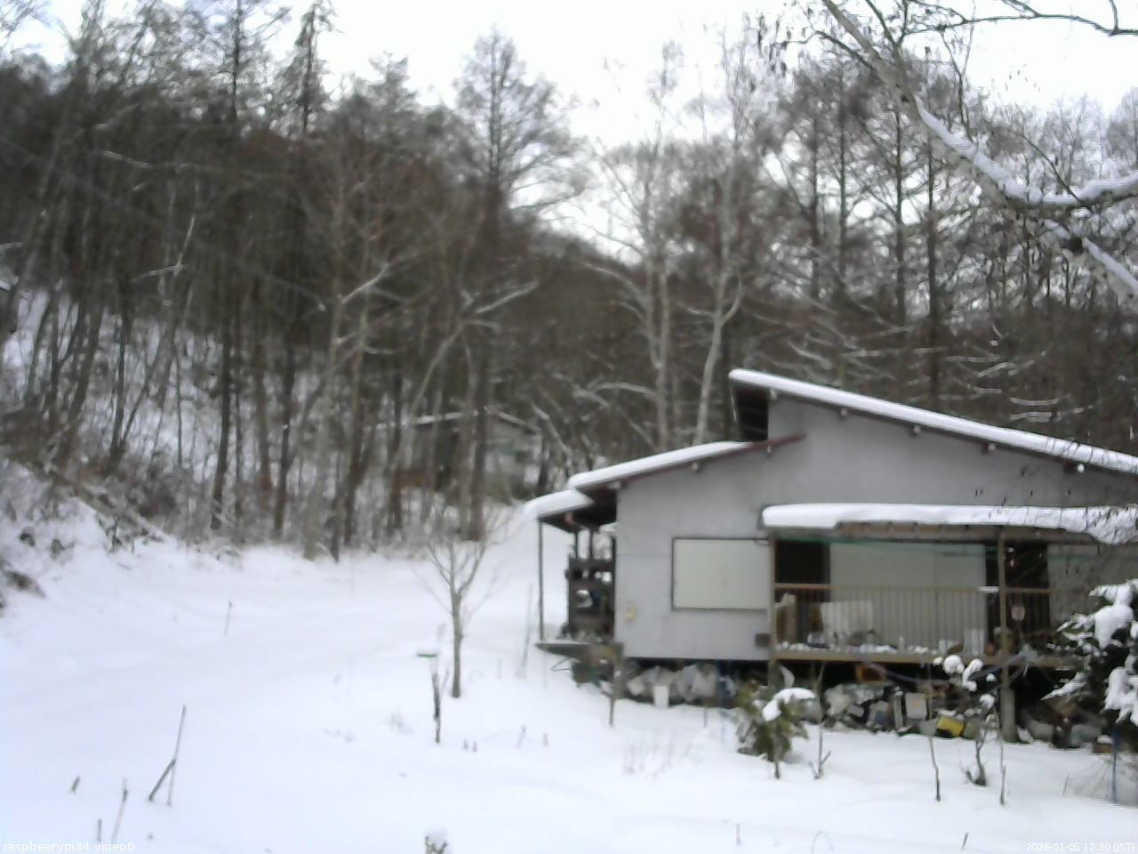 長野県菅平高原 ゆたか山荘 西側(坂上) 2026/01/05 12:30