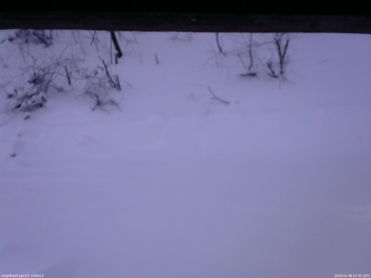 長野県菅平高原 ゆたか山荘 南側 2026/01/06 07:45