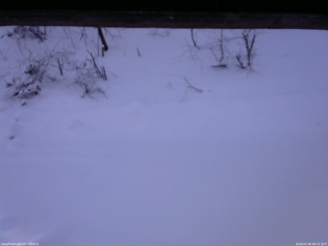 長野県菅平高原 ゆたか山荘 南側 2026/01/06 08:15