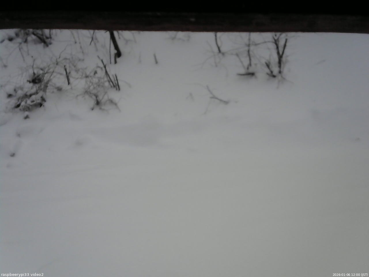 長野県菅平高原 ゆたか山荘 南側 2026/01/06 12:00