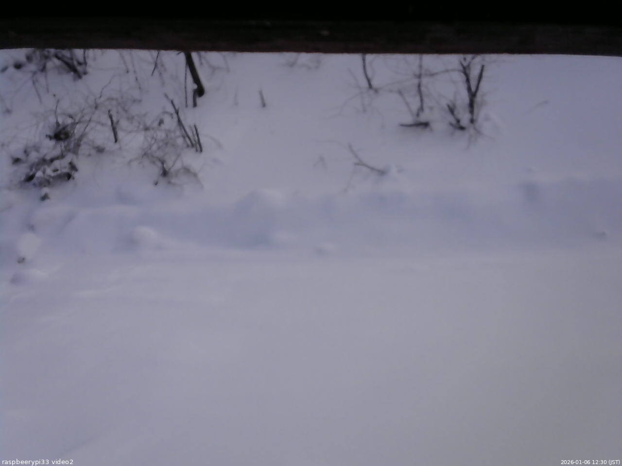 長野県菅平高原 ゆたか山荘 南側 2026/01/06 12:30
