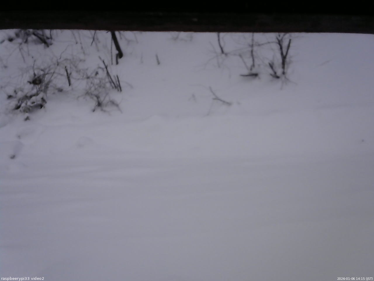 長野県菅平高原 ゆたか山荘 南側 2026/01/06 14:15