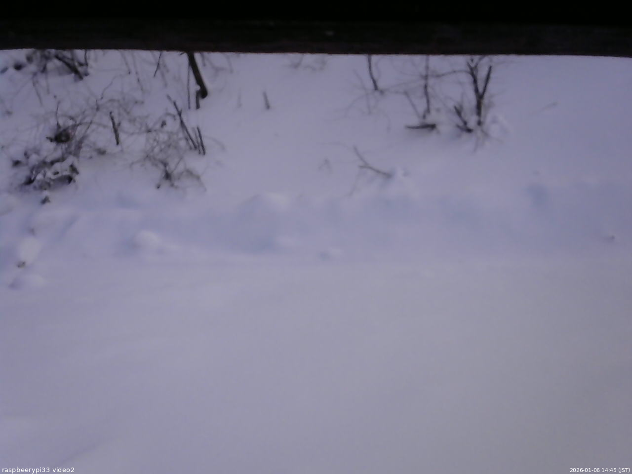 長野県菅平高原 ゆたか山荘 南側 2026/01/06 14:45
