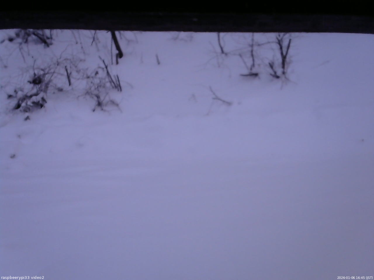 長野県菅平高原 ゆたか山荘 南側 2026/01/06 16:45