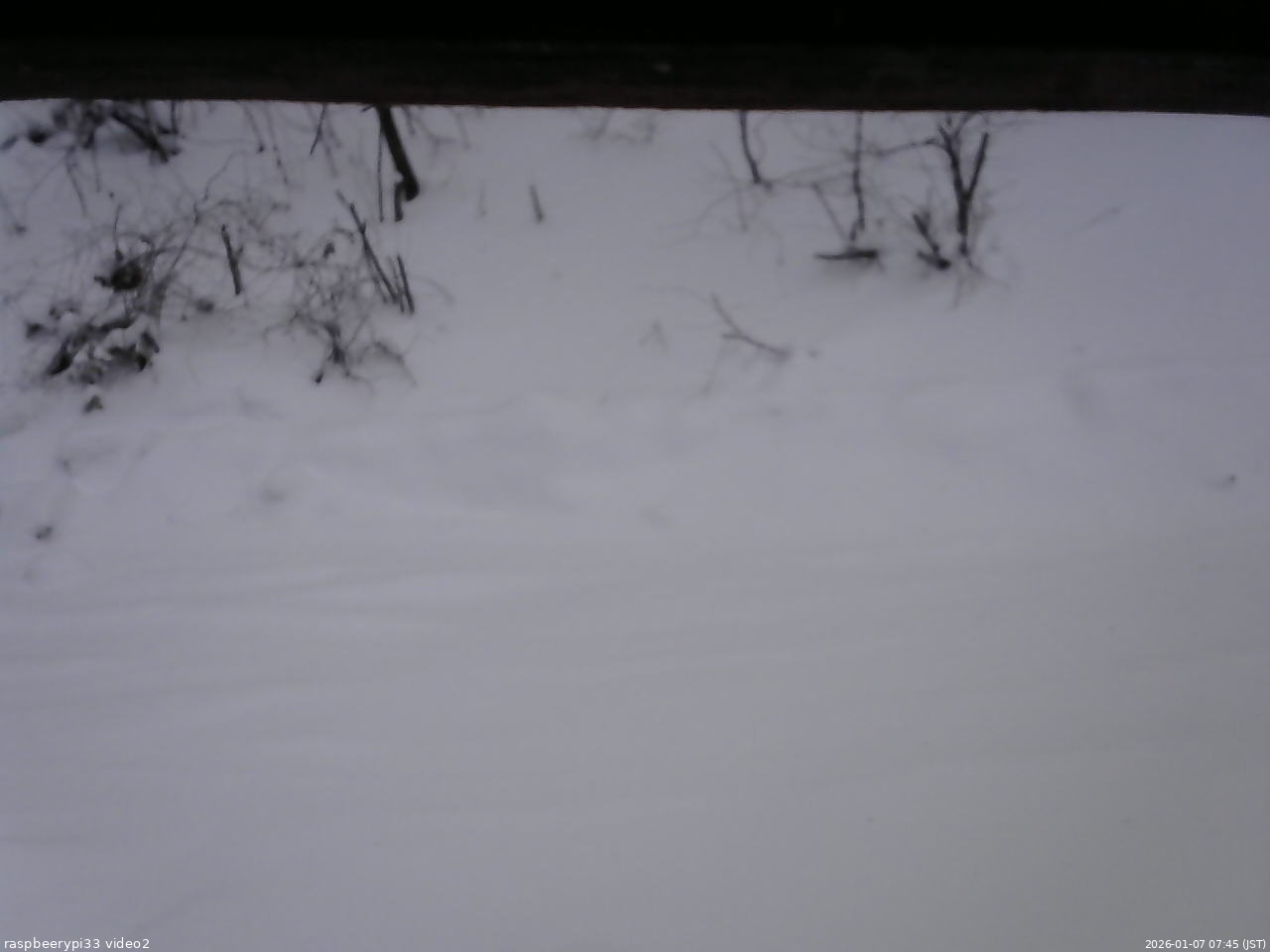 長野県菅平高原 ゆたか山荘 南側 2026/01/07 07:45