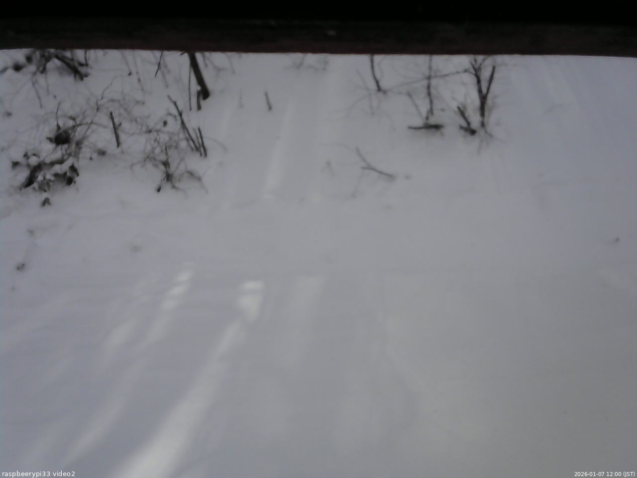 長野県菅平高原 ゆたか山荘 南側 2026/01/07 12:00