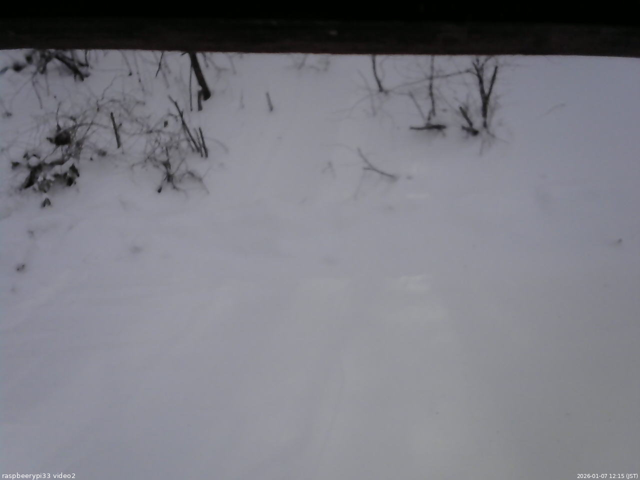 長野県菅平高原 ゆたか山荘 南側 2026/01/07 12:15