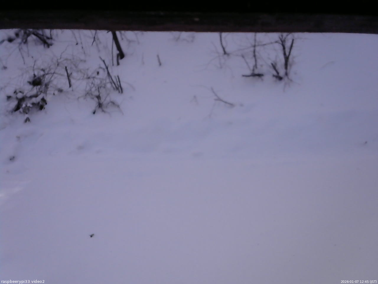 長野県菅平高原 ゆたか山荘 南側 2026/01/07 12:45