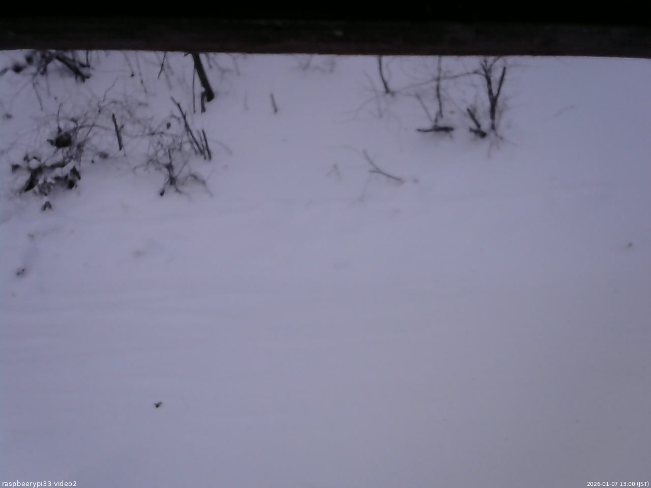 長野県菅平高原 ゆたか山荘 南側 2026/01/07 13:00