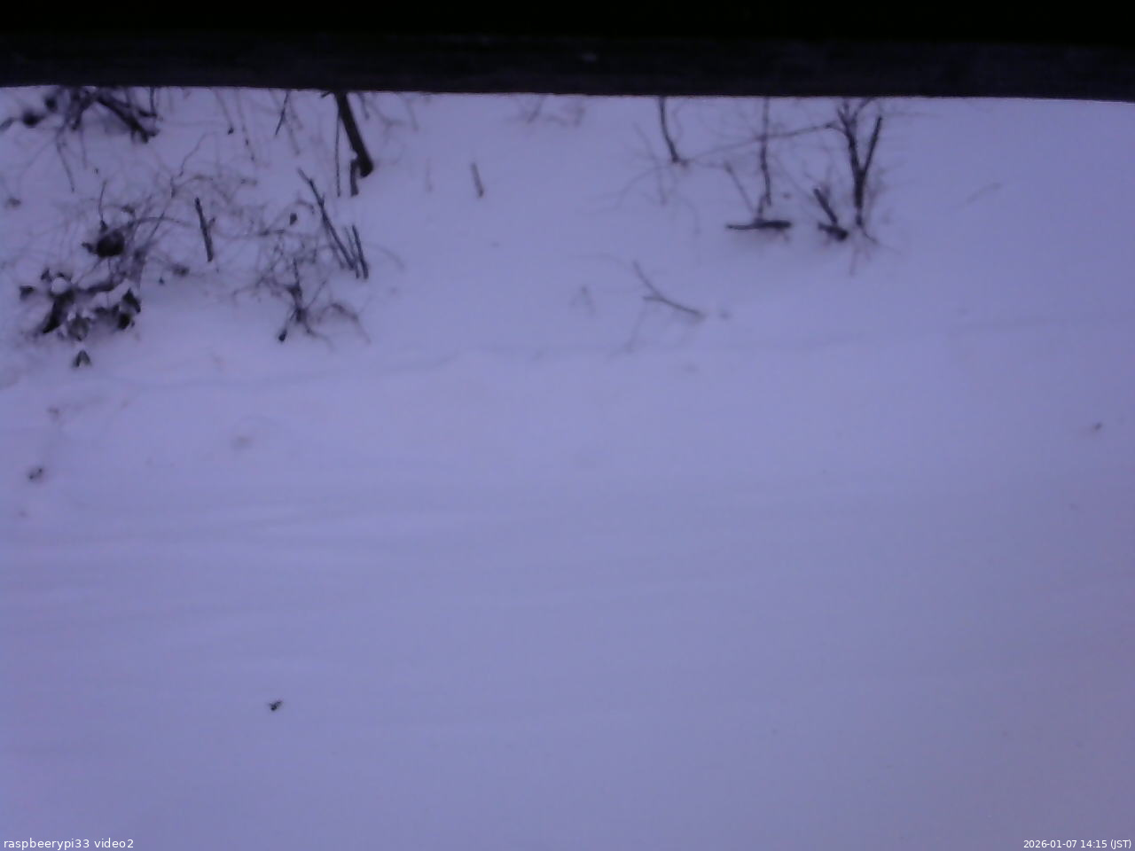 長野県菅平高原 ゆたか山荘 南側 2026/01/07 14:15