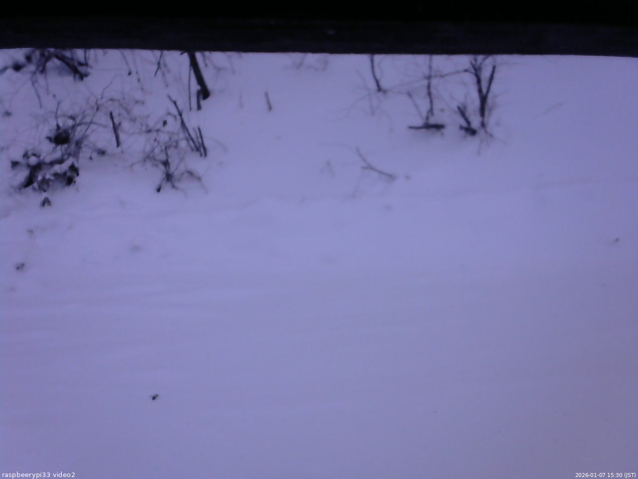 長野県菅平高原 ゆたか山荘 南側 2026/01/07 15:30