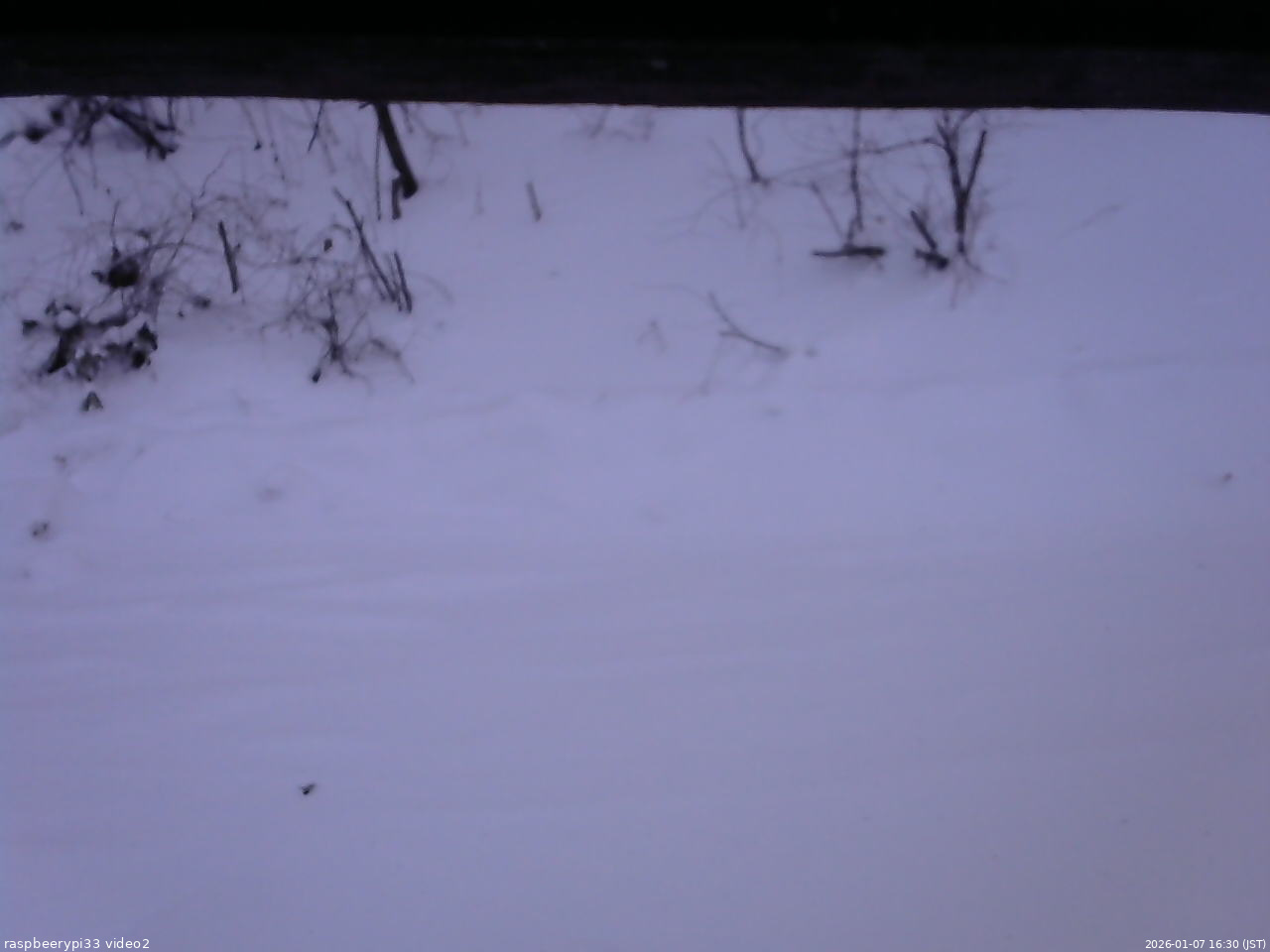 長野県菅平高原 ゆたか山荘 南側 2026/01/07 16:30