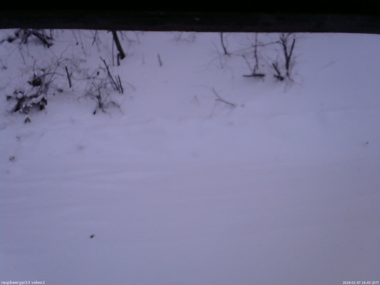 長野県菅平高原 ゆたか山荘 南側 2026/01/07 16:45