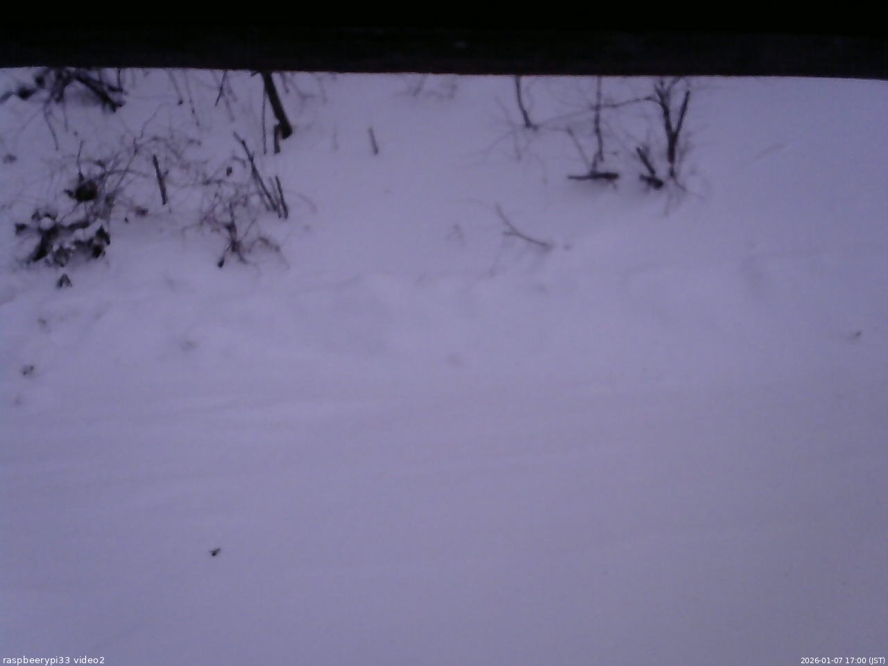 長野県菅平高原 ゆたか山荘 南側 2026/01/07 17:00