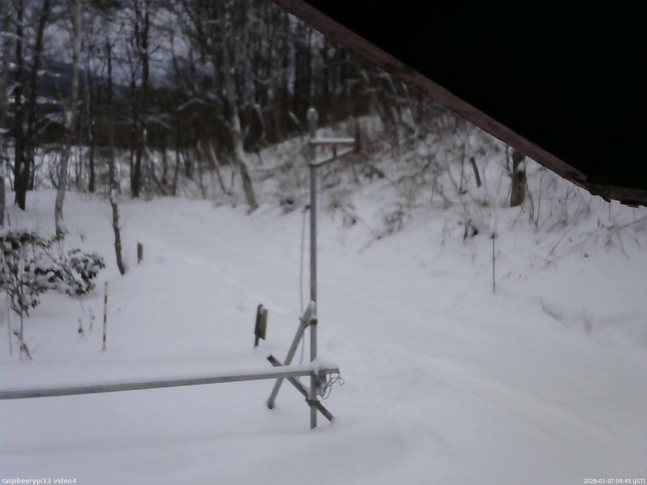 長野県菅平高原 ゆたか山荘 東側(坂下) 2026/01/07 09:45