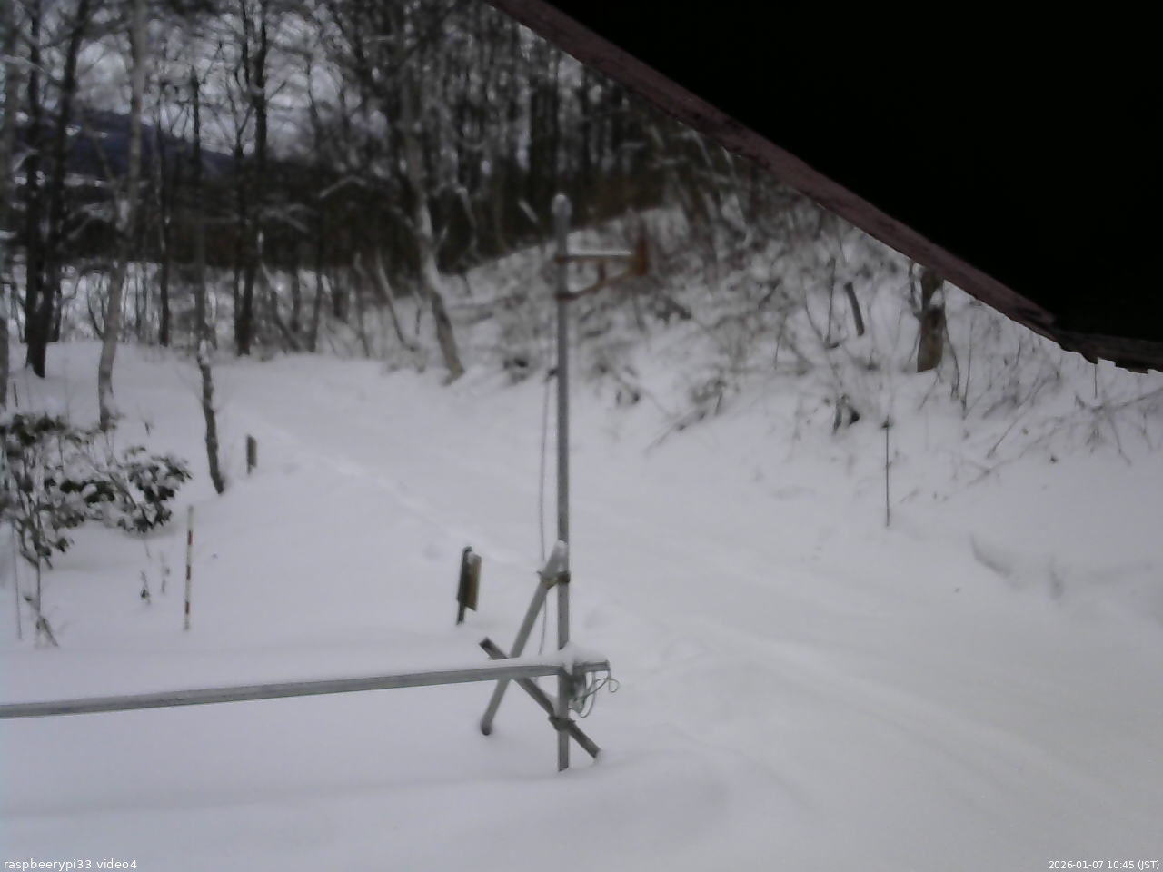長野県菅平高原 ゆたか山荘 東側(坂下) 2026/01/07 10:45