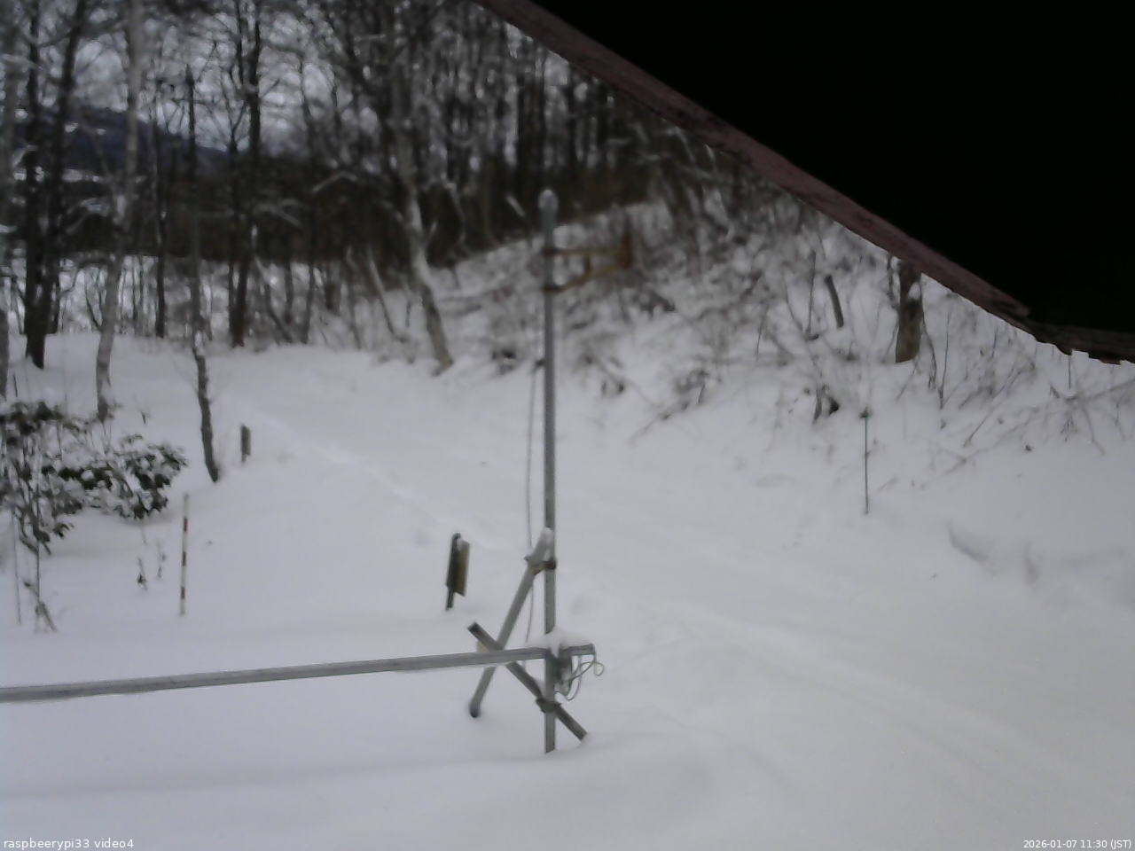 長野県菅平高原 ゆたか山荘 東側(坂下) 2026/01/07 11:30