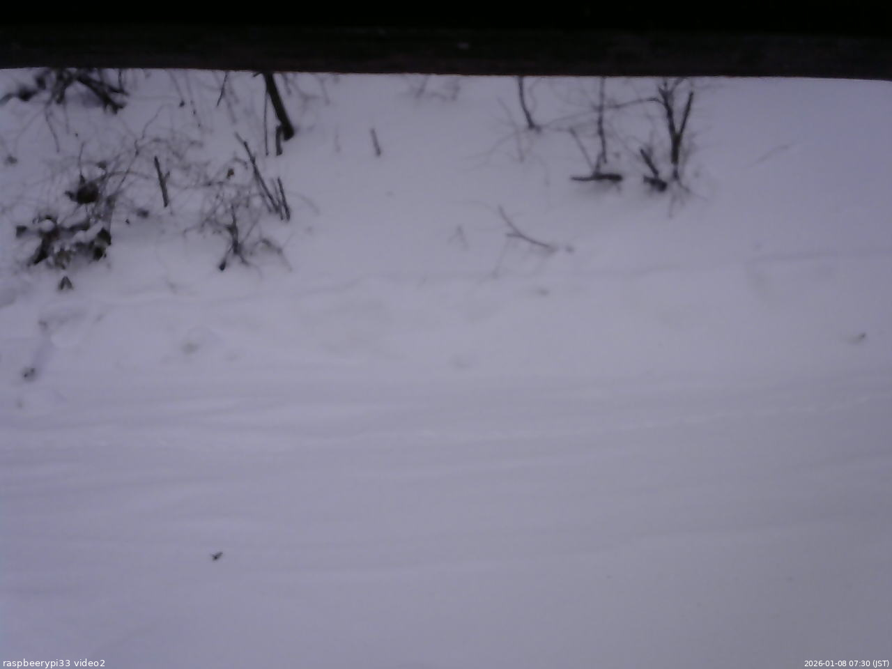長野県菅平高原 ゆたか山荘 南側 2026/01/08 07:30
