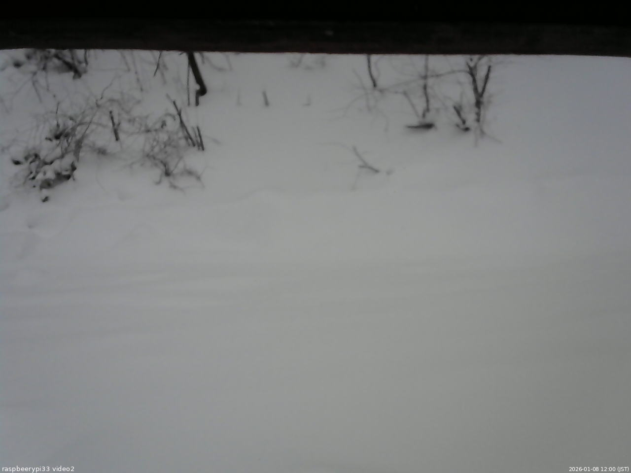 長野県菅平高原 ゆたか山荘 南側 2026/01/08 12:00