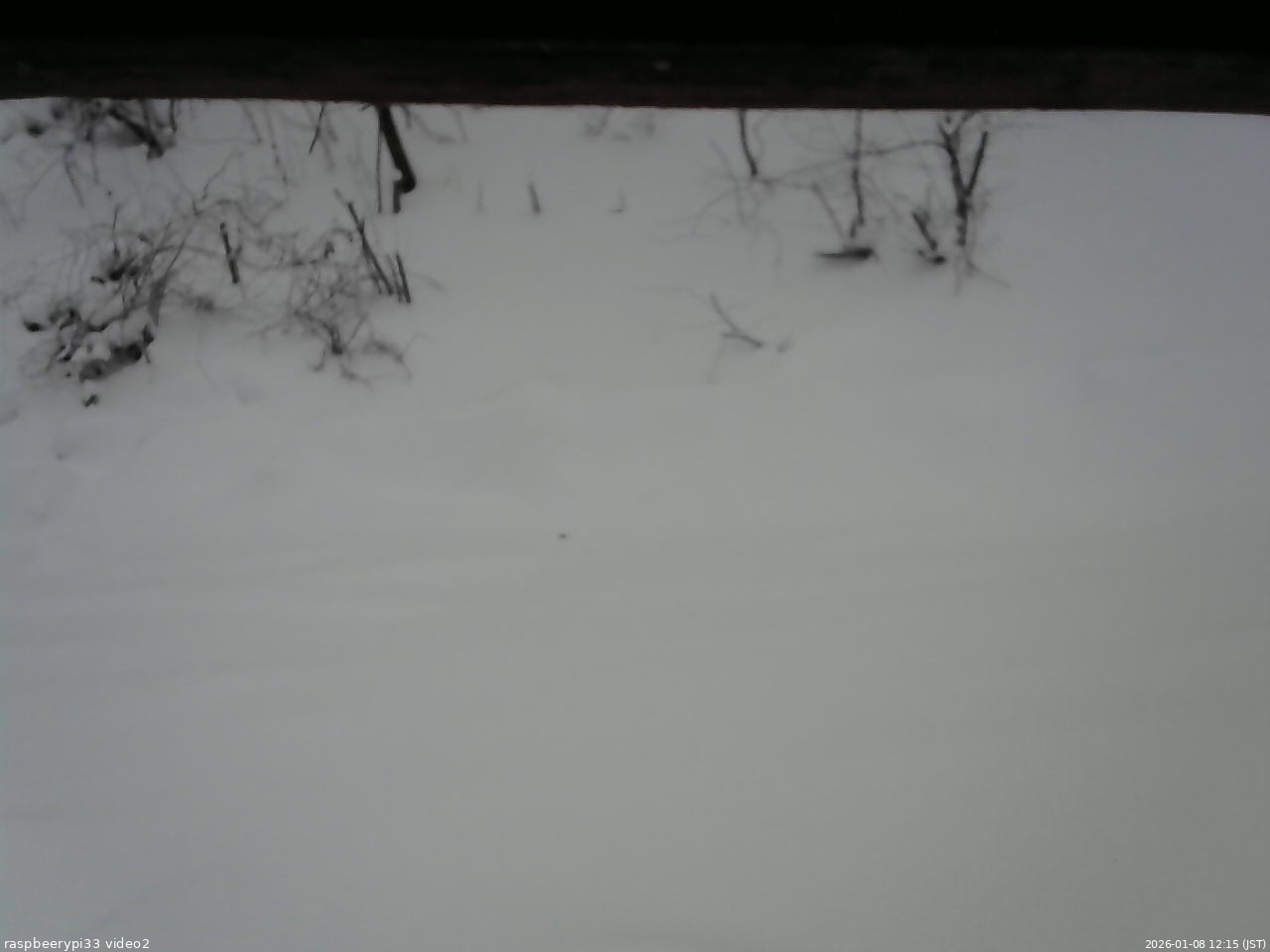 長野県菅平高原 ゆたか山荘 南側 2026/01/08 12:15