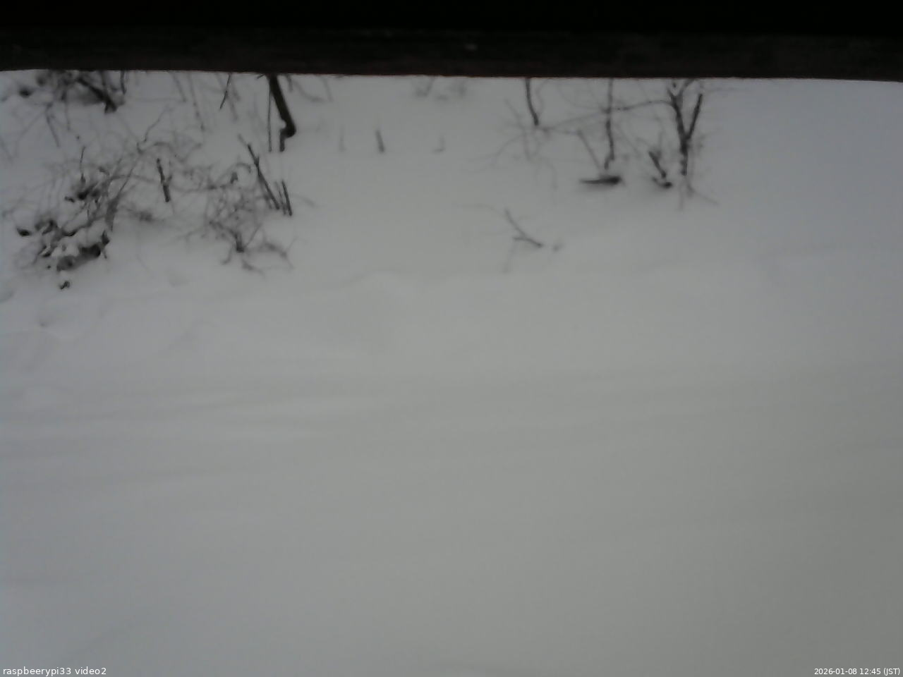 長野県菅平高原 ゆたか山荘 南側 2026/01/08 12:45