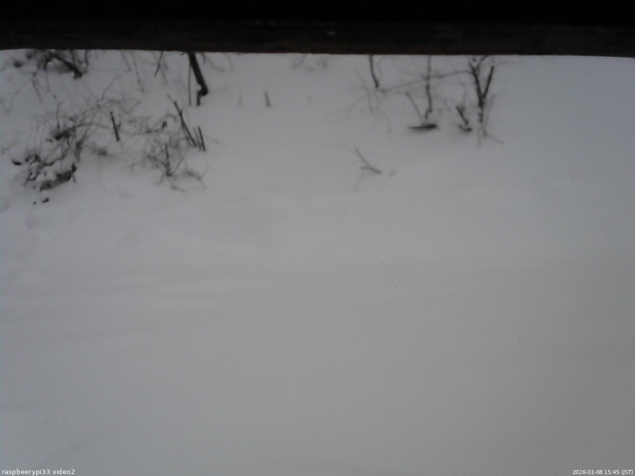 長野県菅平高原 ゆたか山荘 南側 2026/01/08 15:45