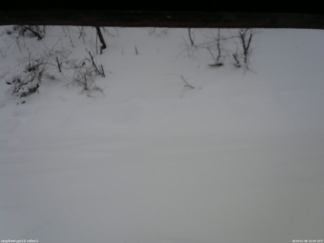 長野県菅平高原 ゆたか山荘 南側 2026/01/08 16:00