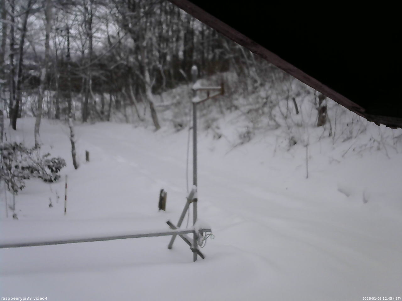 長野県菅平高原 ゆたか山荘 東側(坂下) 2026/01/08 12:45