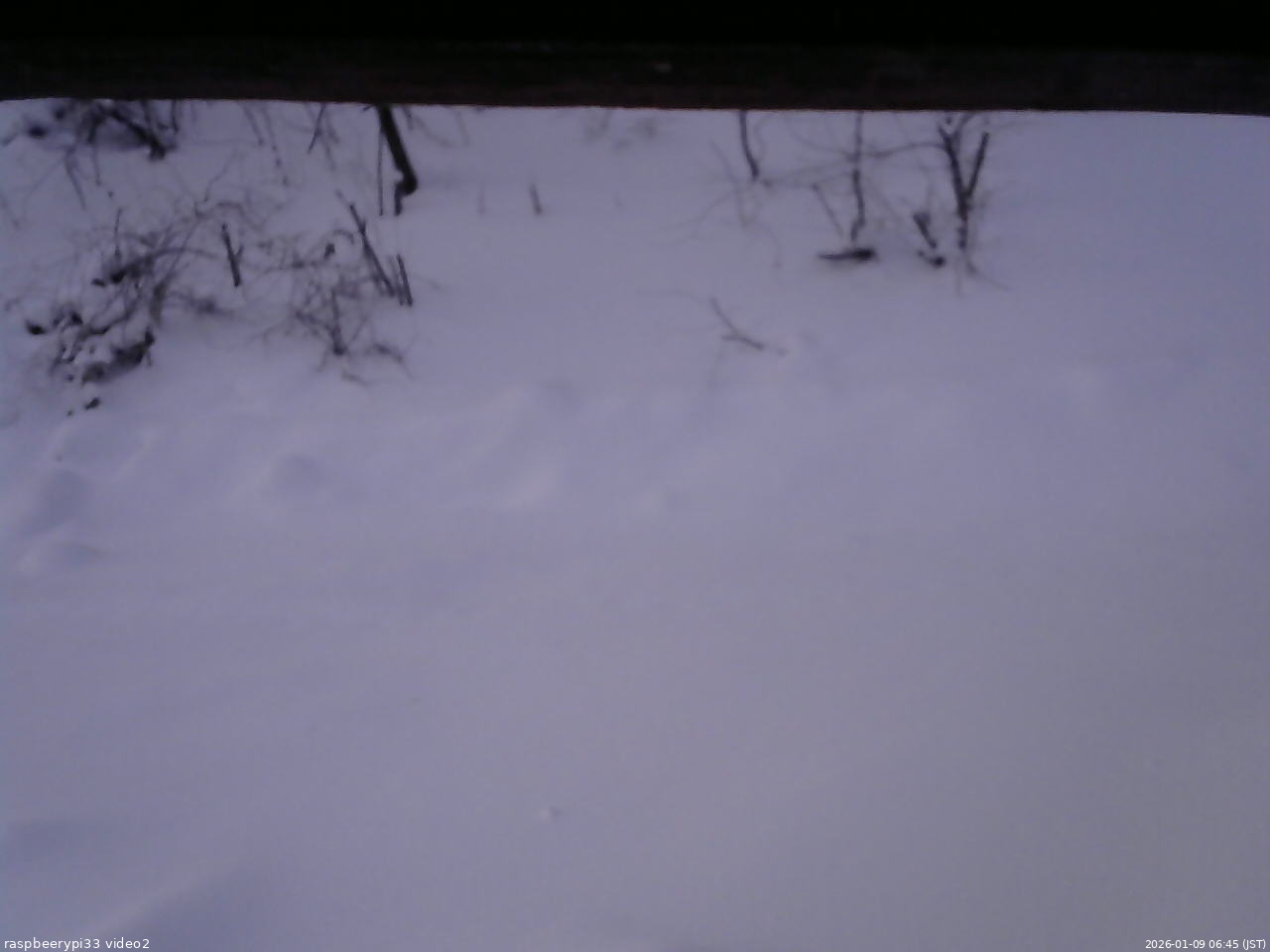 長野県菅平高原 ゆたか山荘 南側 2026/01/09 06:45