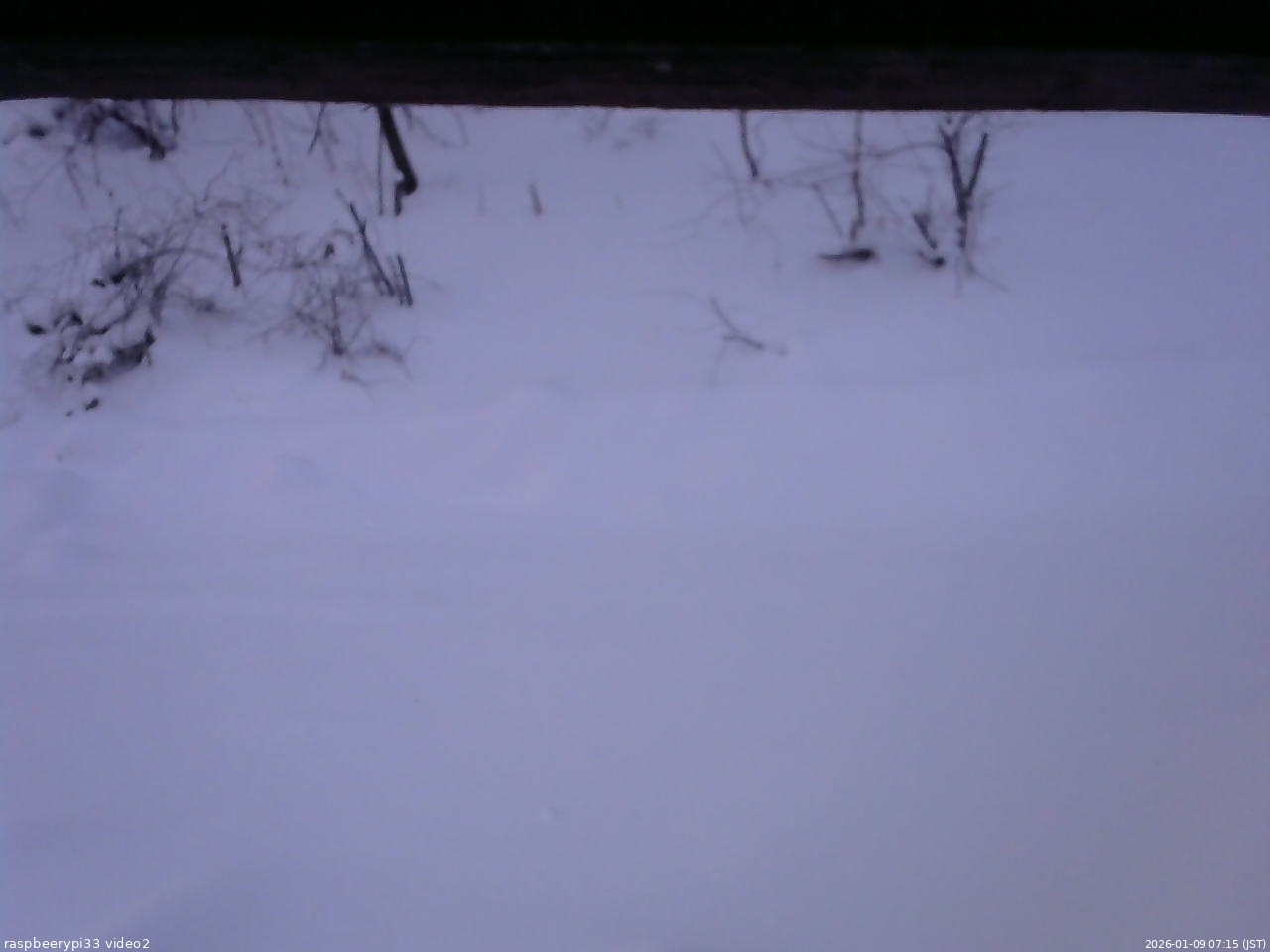 長野県菅平高原 ゆたか山荘 南側 2026/01/09 07:15