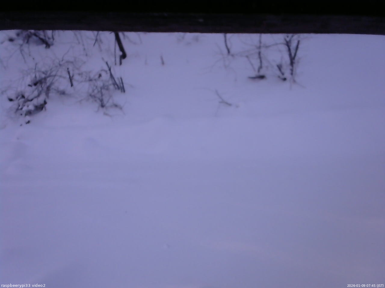 長野県菅平高原 ゆたか山荘 南側 2026/01/09 07:45